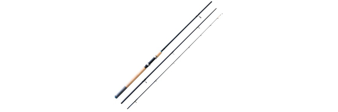 Fishing Rod